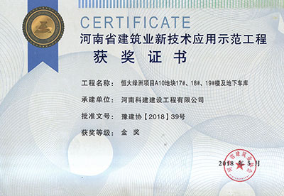 “恒大綠洲項目A10地塊17#、18#、19#樓及地下車庫工程”榮獲“河南省建筑業(yè)新技術應用示范工程”金獎